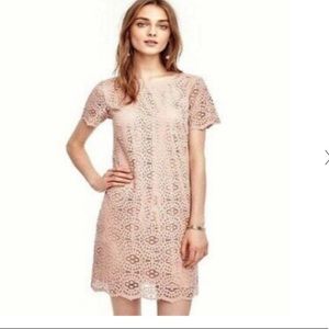 Ann Taylor Blush Lace Sheath Dress